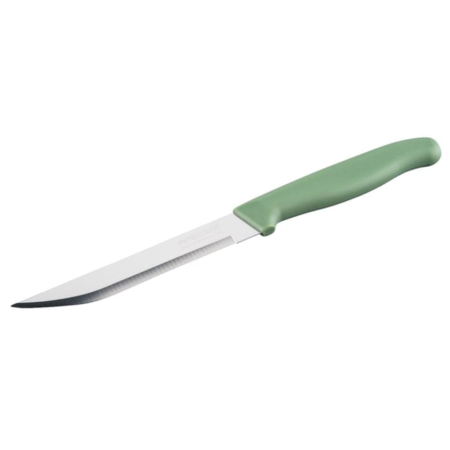 Couteau d’office universel 22,5 cm ELEMENTAL vert <span itemprop=