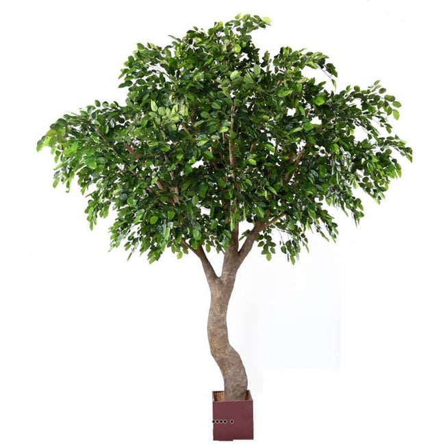 Hêtre Artificiel H 360 cm D 280 cm Couleur v002239 <span itemprop=