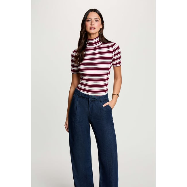 Pull col roulé rayé bordeaux <span itemprop=