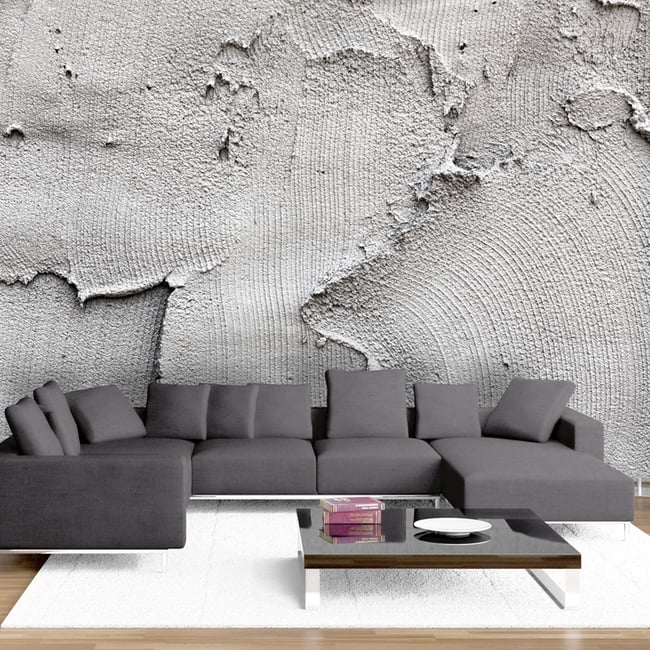 Papier peint intissé panoramique Concrete nothingness Couleur gris / argent <span itemprop=