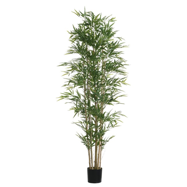 Bambou en pot artificiel H210 Couleur vert <span itemprop=