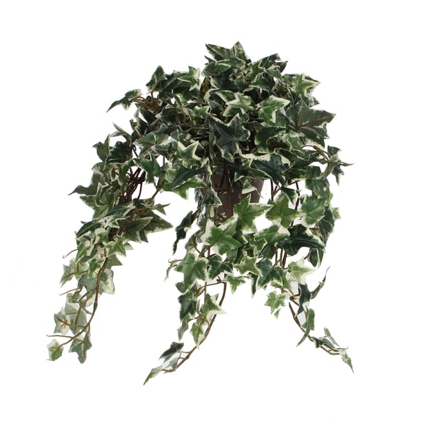 Plante artificielle suspendue IVY Couleur vert <span itemprop=