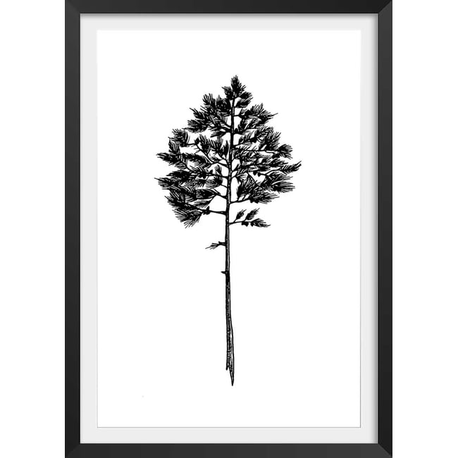 Poster pin landais - HEXOA