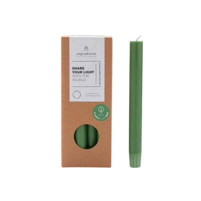 Set de 10 bougies cierges 20 cm Couleur vert foncé <span itemprop=