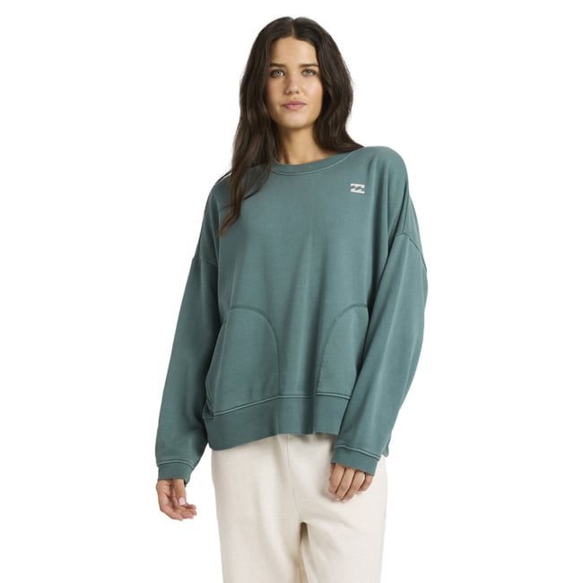 Sweat à capuche DONT FORGET gris alpine <span itemprop=