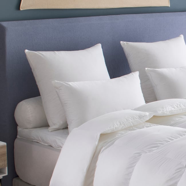 Oreiller Canada  - MOELLEUX Couleur blanc <span itemprop=
