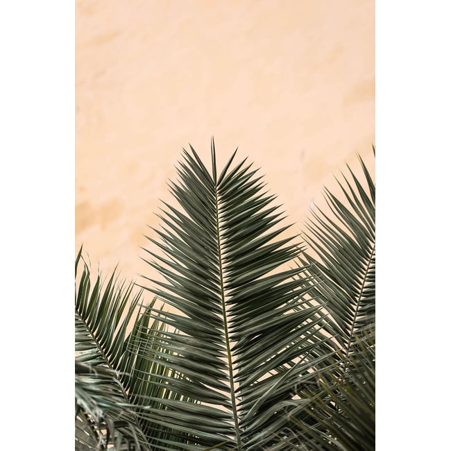 Tableau sandy palme - HEXOA