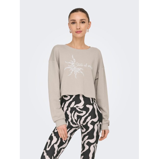 Sweat-shirt ONLY PLAY gris - nacreous cloud <span itemprop=