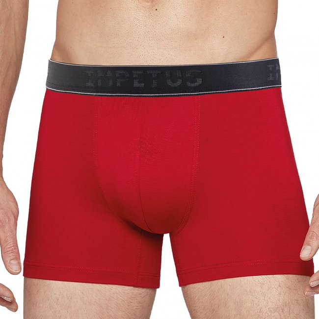 Boxer uni - IMPETUS