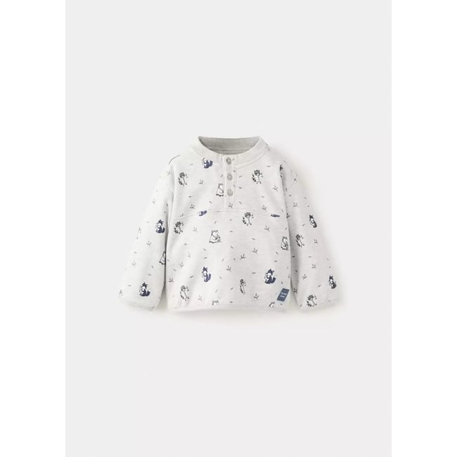 Sweat coton imprimé raton laveurs gris chiné clair <span itemprop=