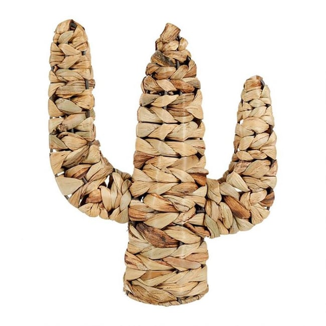 Cactus rotin naturel Couleur v002235 <span itemprop=