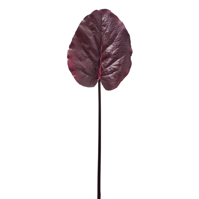 Feuille de galax artificielle H85 Couleur bordeaux <span itemprop=