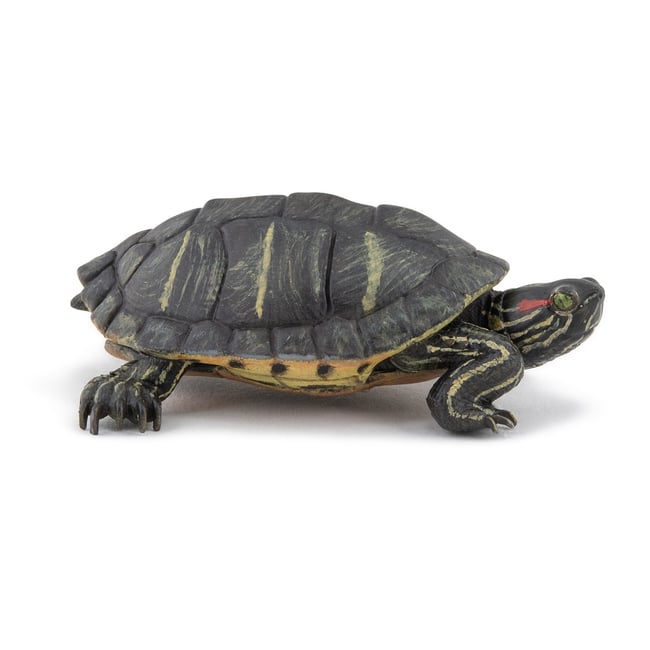 Figurine Tortue de Floride vert <span itemprop=