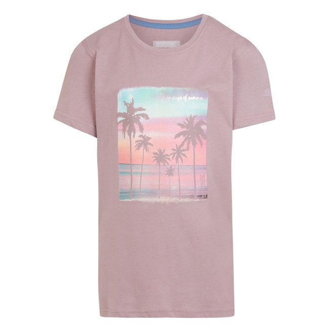 T-shirt BOSLEY gris <span itemprop=