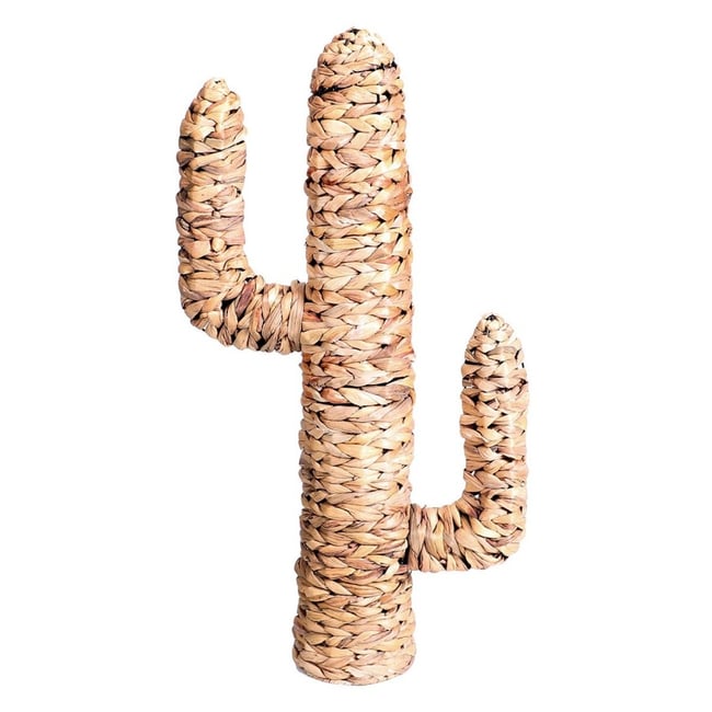 Cactus en jacinthe d'eau H80 Couleur v002235 <span itemprop=