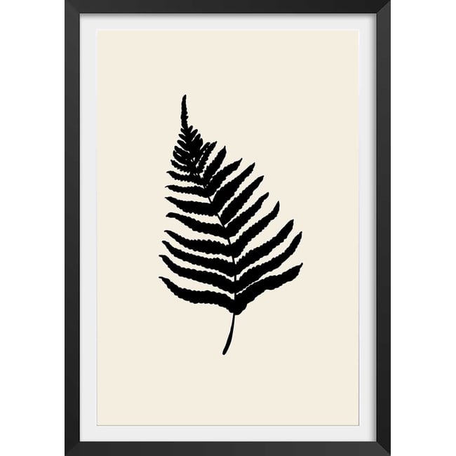 Affiche deco black fougères - HEXOA