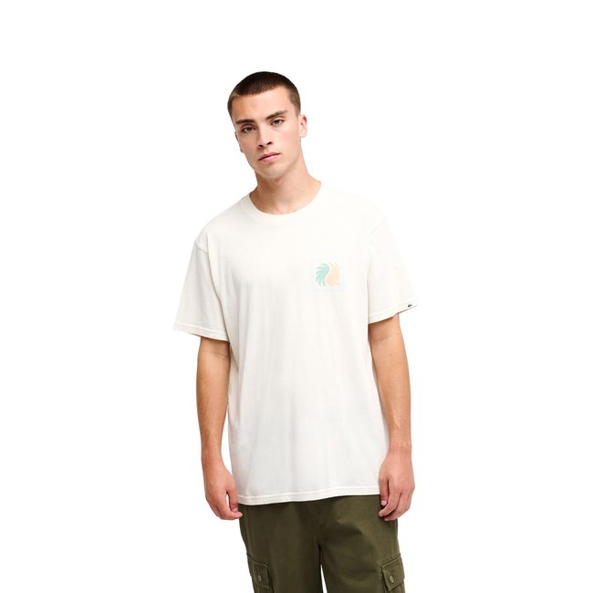T-Shirt manches courtes EVO VIBES - QUIKSILVER