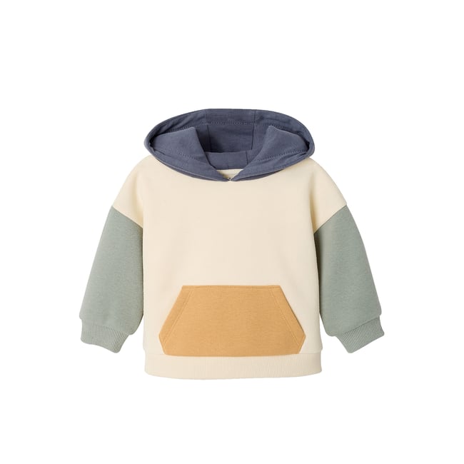 Sweat à capuche vert sauge <span itemprop=