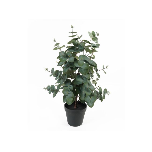 Plante Artificielle Plastique EUCALYPTUS LEAF Couleur vert foncé <span itemprop=