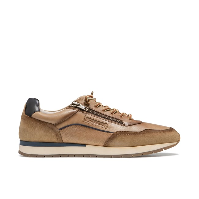 ALLEN CAMEL camel <span itemprop=