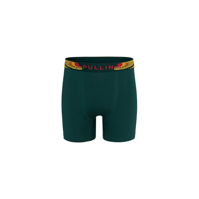 BOXER LONG COTON WINGSGREEN vert <span itemprop=