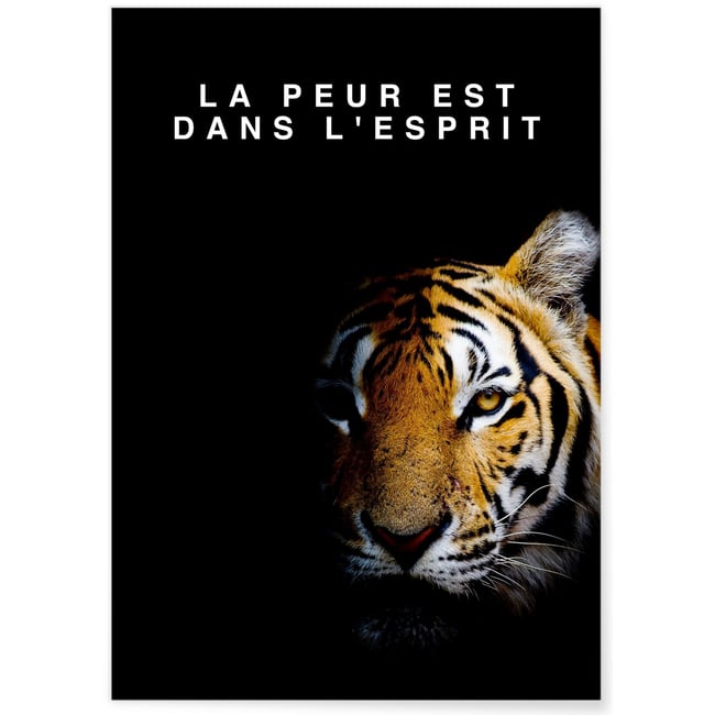 Affiche Motivation La Peur est dans l'Esprit Couleur blanc <span itemprop=