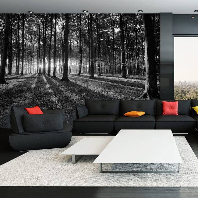 Papier peint intissé panoramique Paysage The Light in the Forest Couleur noir <span itemprop=