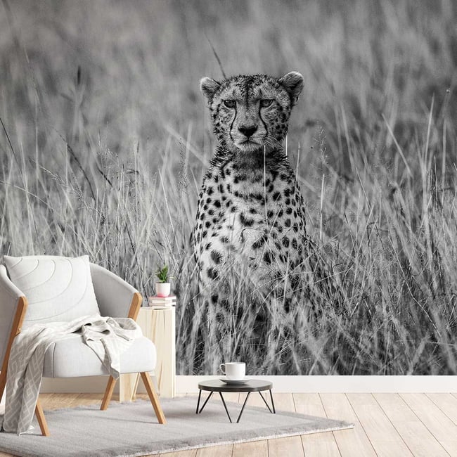 Papier peint guépard dans la savane Couleur intissé <span itemprop=