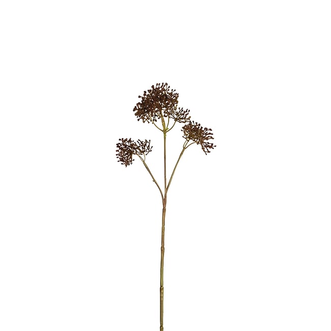 Tige de skimmia artificielle H40 Couleur marron <span itemprop=