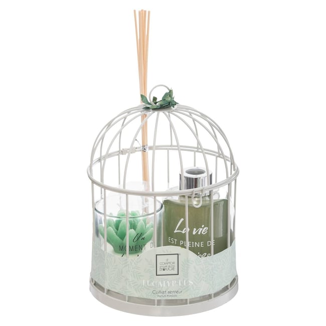 Coffret cadeau cage ZEN Couleur vert clair <span itemprop=