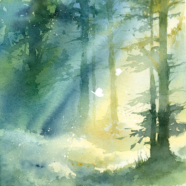 Cadre deco Bosquet ombragé - HEXOA