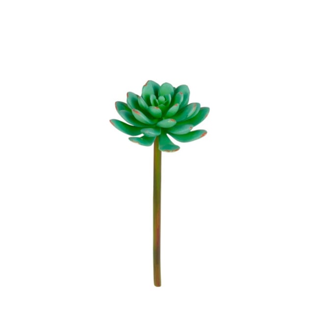 Tige d’echeveria artificielle H20 Couleur vert <span itemprop=