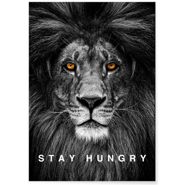 Affiche Motivation Stay Hungry Couleur blanc <span itemprop=