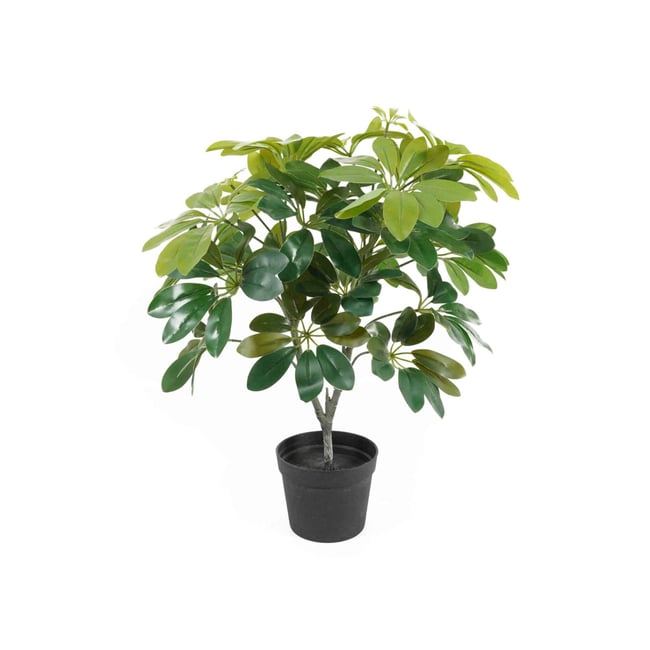 Plante Artificielle Plastique SHEFFLERA Couleur vert <span itemprop=