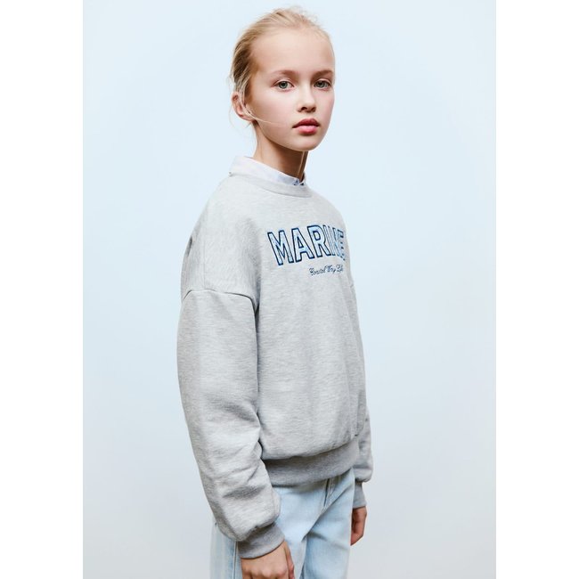 Sweat-shirt coton message brodé gris chiné clair <span itemprop=