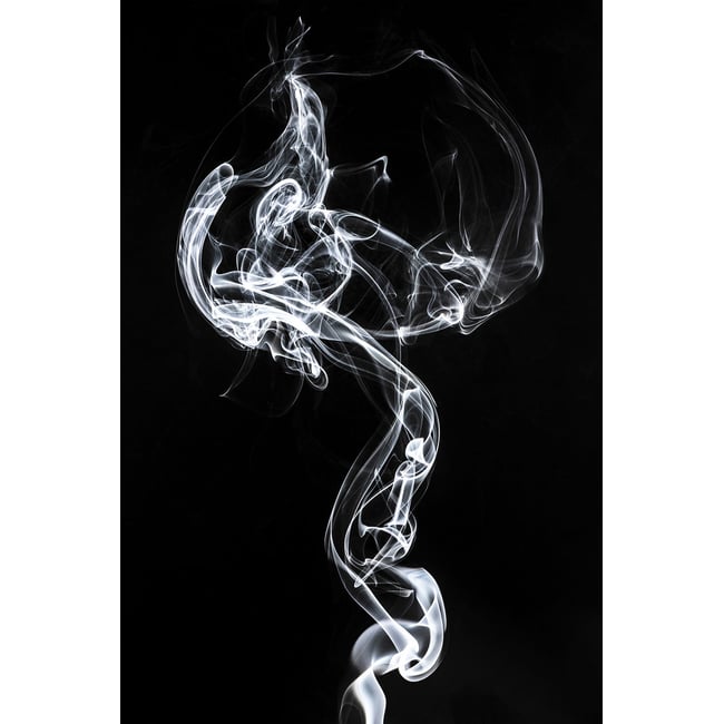 Tableau  white smoke medusa - HEXOA