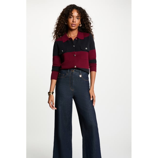 Pull col revers rayé bordeaux <span itemprop=