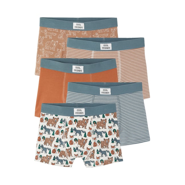 Lot de 5 boxers beige <span itemprop=