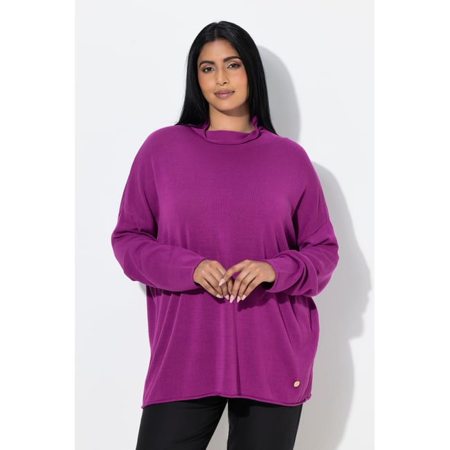 Pull à manches longues et col montant baie <span itemprop=