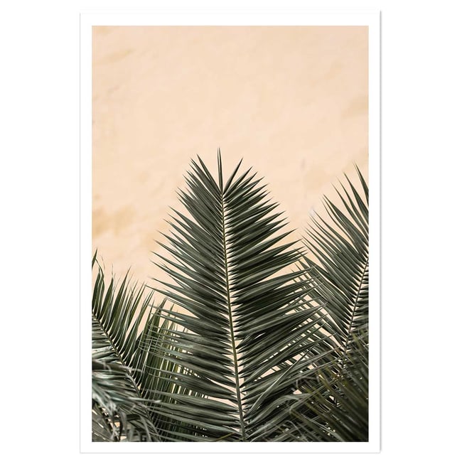 Poster sandy palme - HEXOA