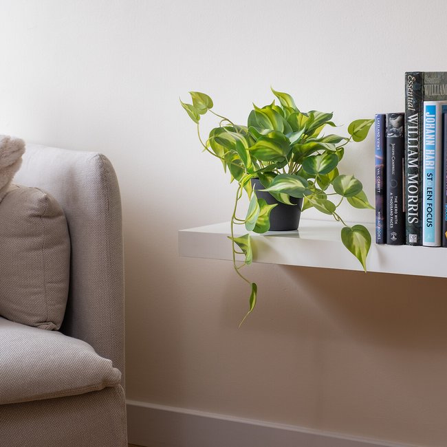 40cm Artificial Real Touch Trailing Silver Vine, green, SO'HOME