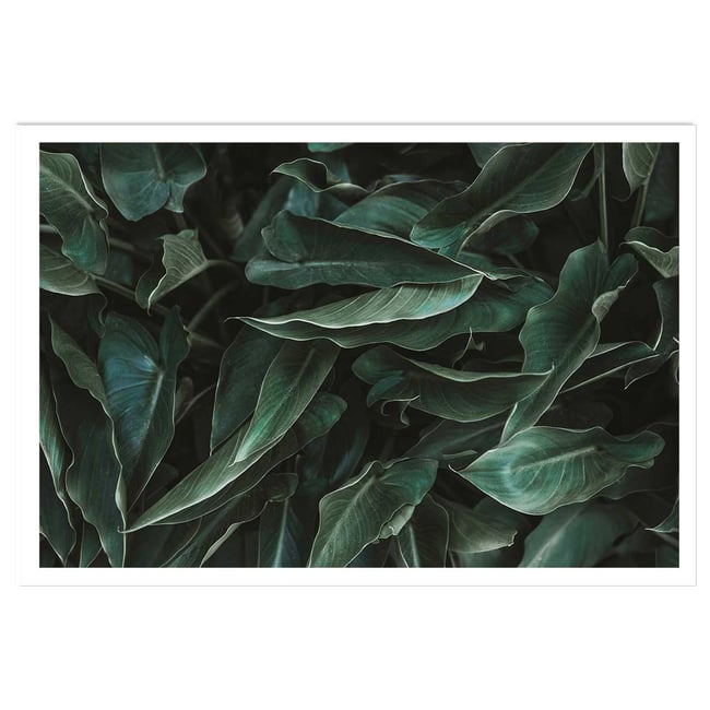 Affiche green leaves - HEXOA