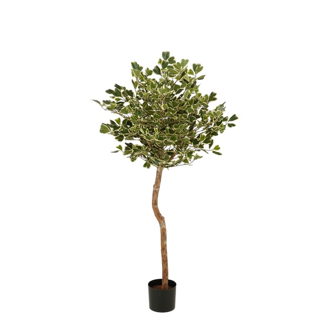 Plante artificielle FICUS Couleur vert <span itemprop=