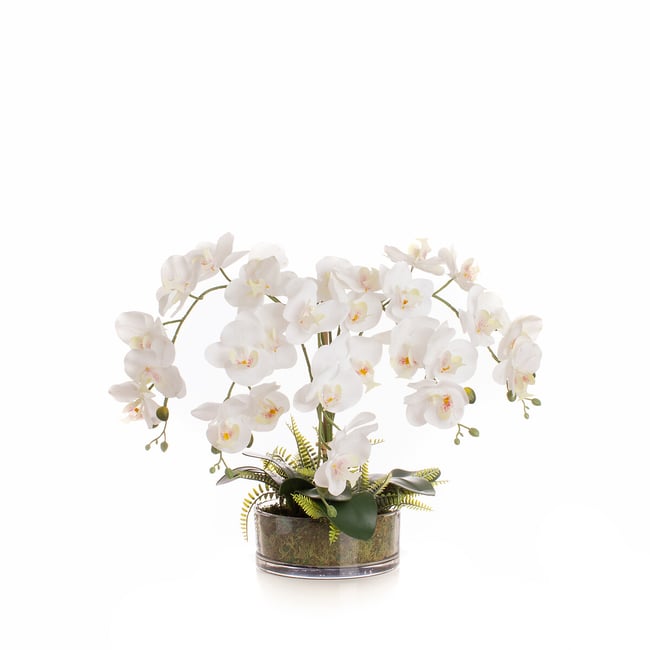 55cm Real Touch 5-Stem Orchid with Fern in Glass Pot, white, SO'HOME