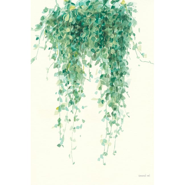 Tableau fleurs Plante tropicale Ceropegia illustrée - HEXOA