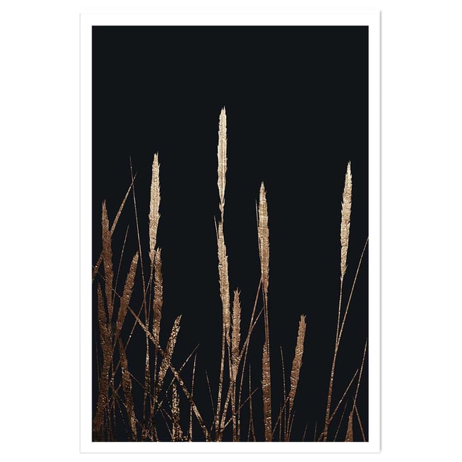 Poster blés dorés - HEXOA