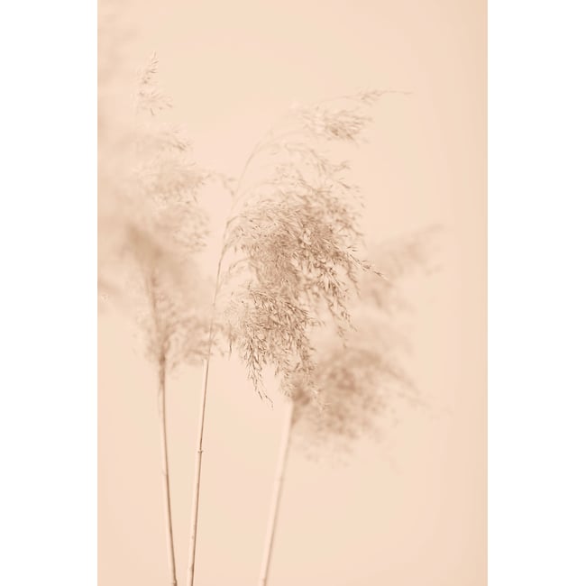 Tableau des champs sauvages - HEXOA