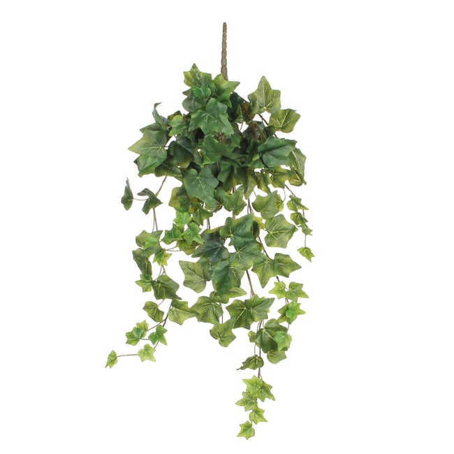 Plante artificielle suspendue IVY Couleur vert <span itemprop=