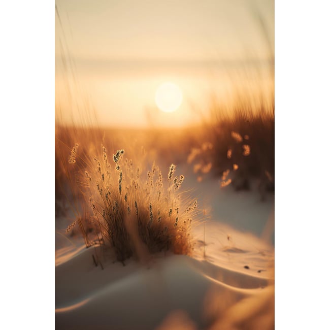 Tableau mer et plage coucher de soleil à la plage - HEXOA