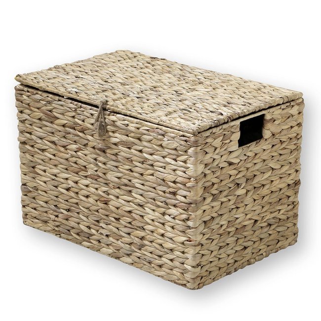 Coffre en Jacinthe d'Eau avec Couvercle Couleur bois <span itemprop=